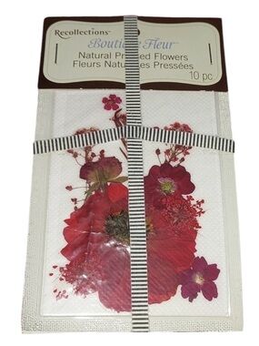RECOLLECTIONS Natural Pressed Flowers 10 Pc
